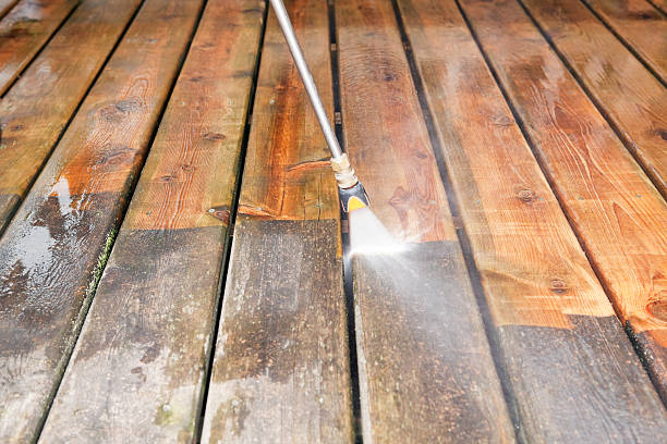 Professional Pressure washing in Golden Glades, FL